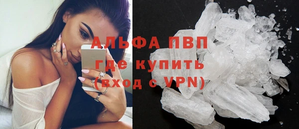 гидра Заводоуковск