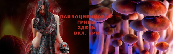 бошки Кедровый