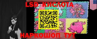 гидра Кимры