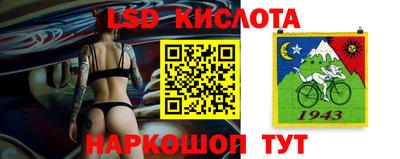 spice Кинель