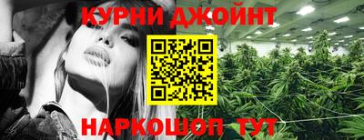 spice Кинель