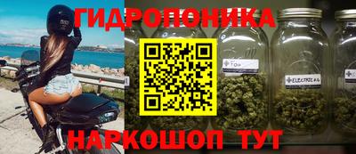 индика Малгобек