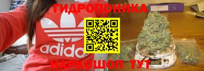 гидра Кимры
