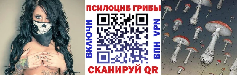 Псилоцибиновые грибы Magic Shrooms  где продают наркотики  Славянск-на-Кубани 