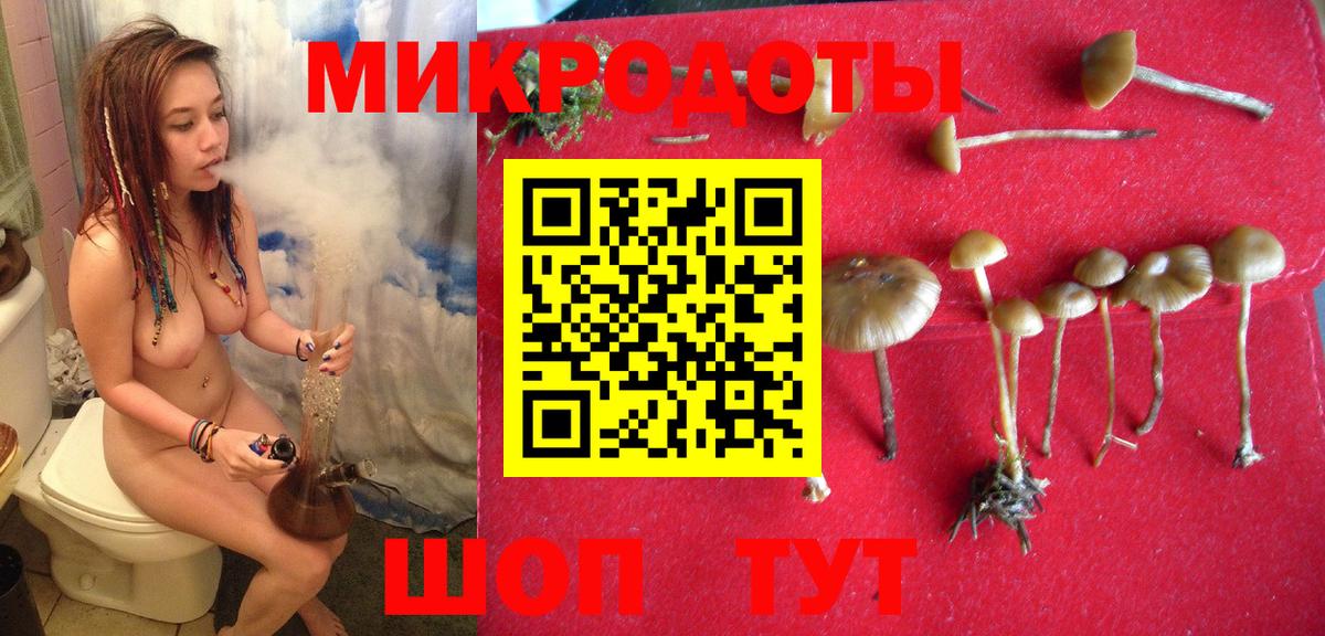 Псилоцибиновые грибы мицелий Славянск-на-Кубани