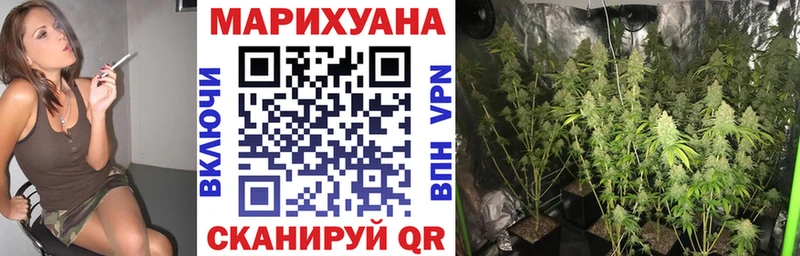 МАРИХУАНА OG Kush Славянск-на-Кубани