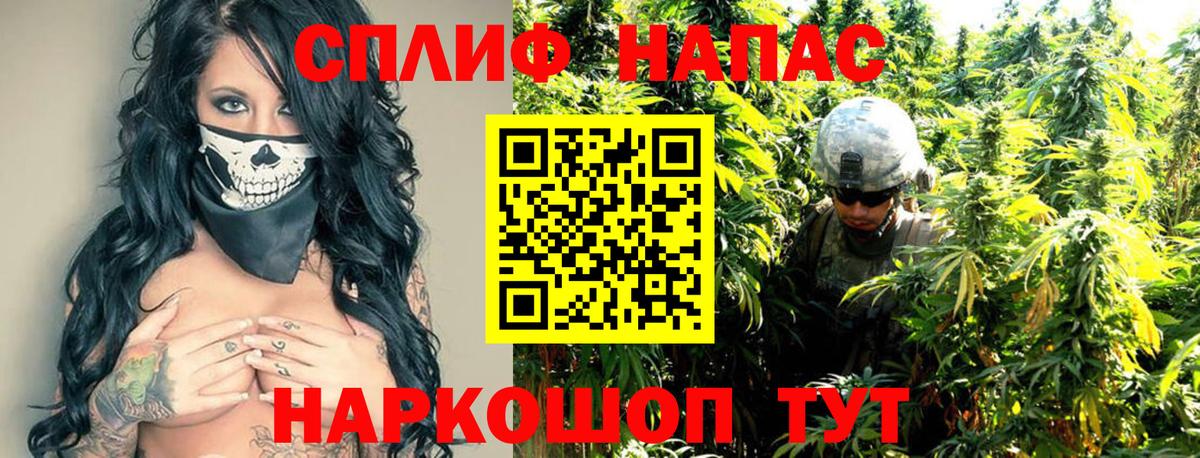 Бошки марихуана Bruce Banner  Вход с VPN  Славянск-на-Кубани  Конопля Bruce Banner  Каннабис White Widow  Конопля план 